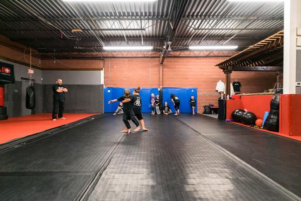 The Martial Arts Laboratory