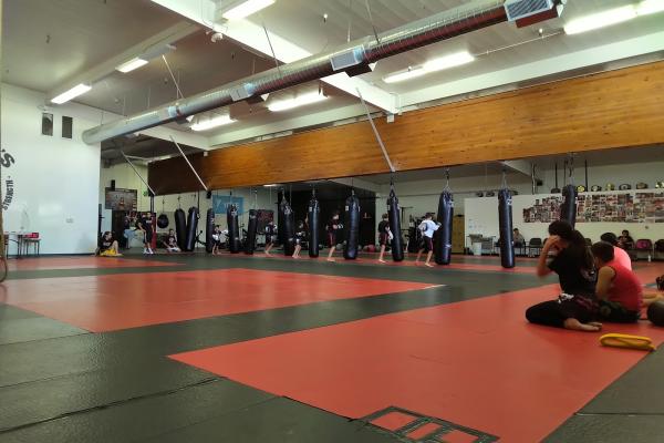 Antdawgs MMA Training Center