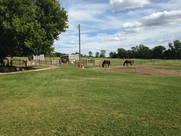 Pleasuretime Stables LLC