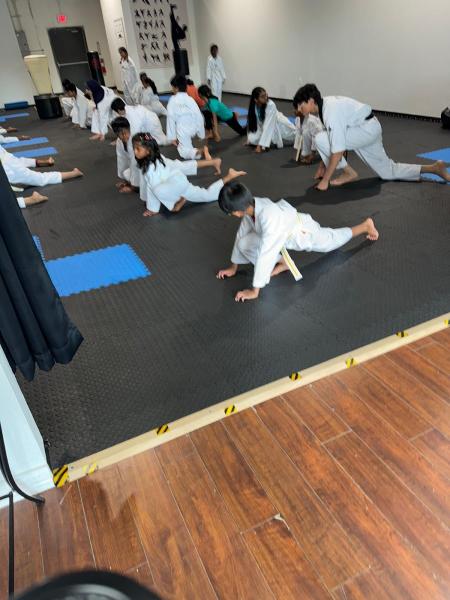 K2 Tae Kwon Do Academy