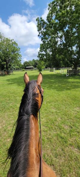 Timber Grove Equestrian Center