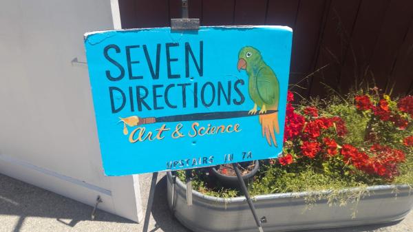 Seven Directions Institute-Art