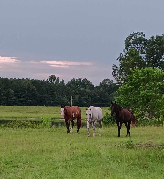 Southern Prides Ranch