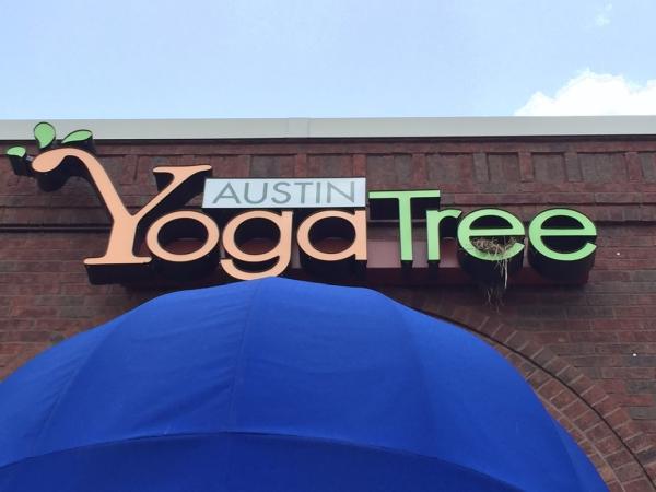 Austin Yoga Tree