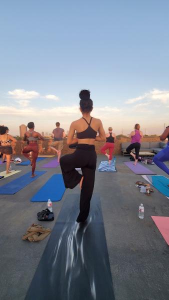 Stargaze Yoga