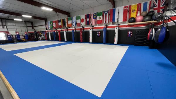 Alliance AZO Martial Arts Training Center LLC