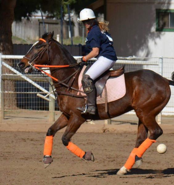 Polo Lessons San Diego