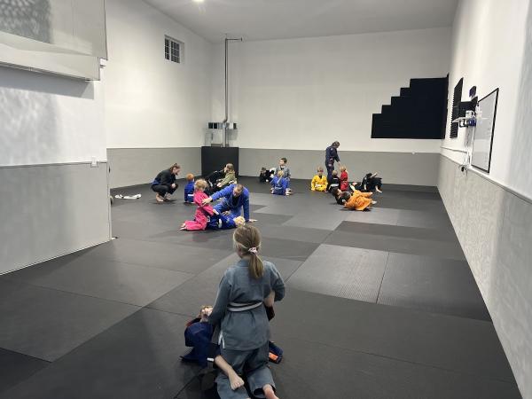 Ground Theory Jiu Jitsu