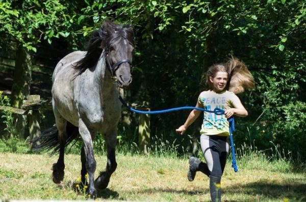 Pond-a-Luce-A Stables