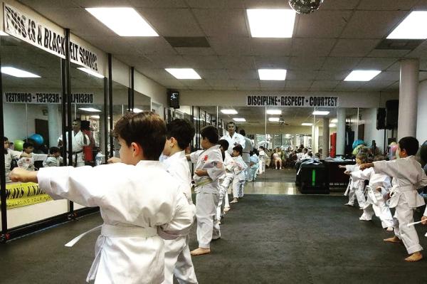 Luis Victoria Karate Academy Inc.