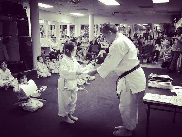 Luis Victoria Karate Academy Inc.