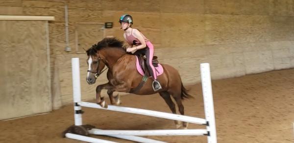 Kelviden Equestrian Center