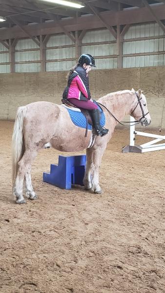 Kelviden Equestrian Center