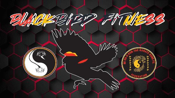 Blackbird Martial Arts and Self Defense Academy