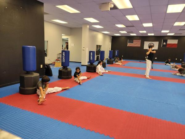 The Houston Center For Taekwondo