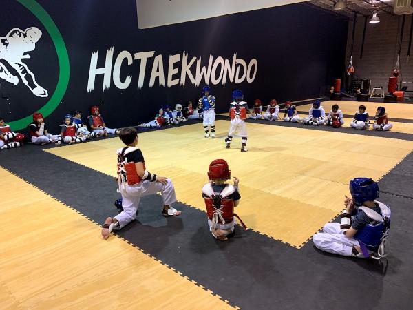 The Houston Center For Taekwondo
