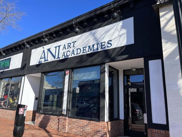 Ani Art Academy America