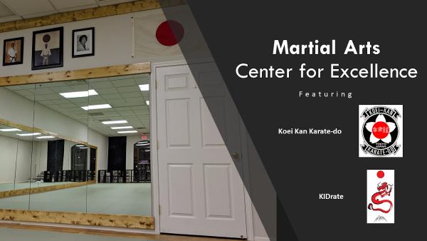 Martial Arts Center For Excellence