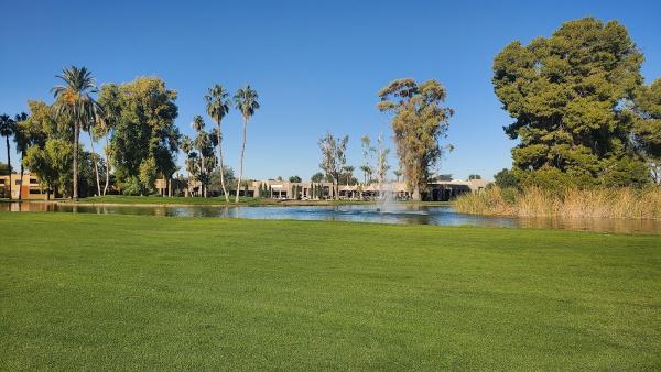 Orange Tree Golf Resort