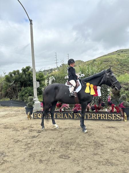 Zequestrian