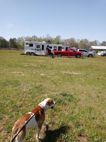 Full Circle Horse Park