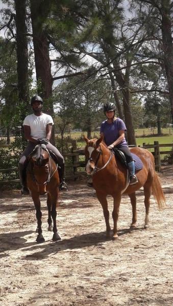 Windy Willow Stables