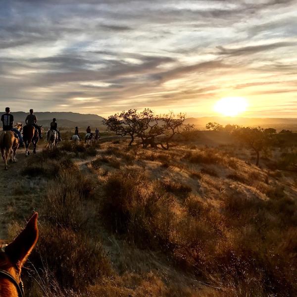 Vino Vaqueros Horseback Riding