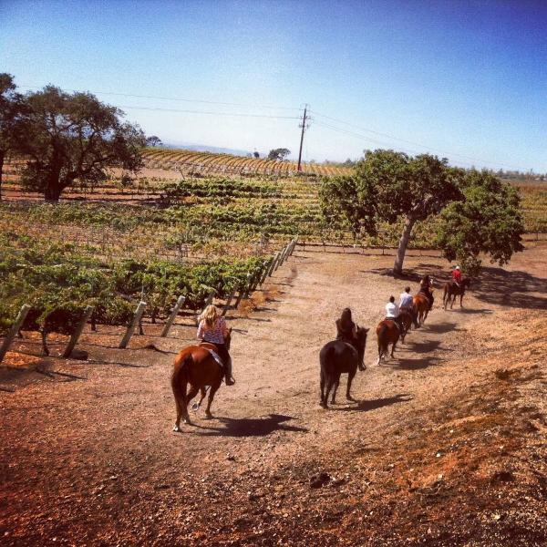 Vino Vaqueros Horseback Riding