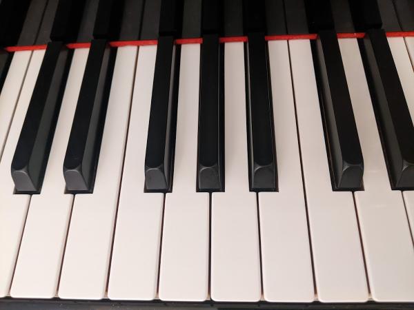Professional Piano Lessons
