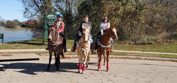 Hasbrouck Horses