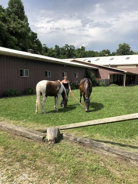 Skillet Hill Stables