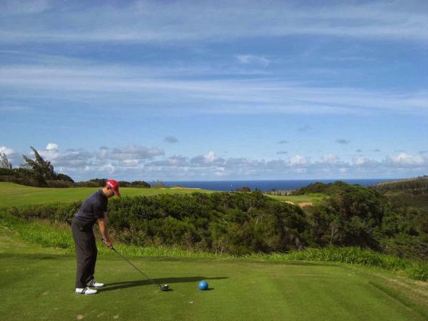 Golf Lessons AND Swing Analysis