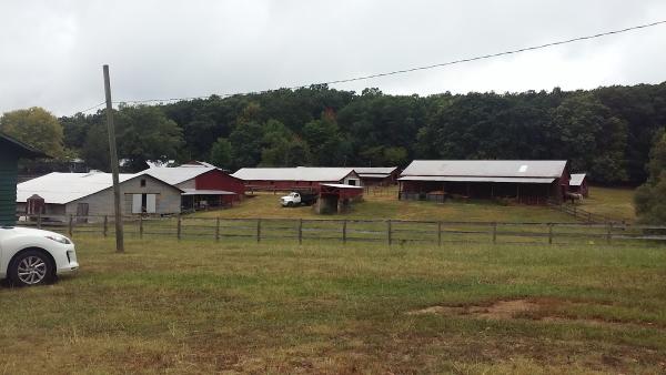 Valley View Ranch Equestrian Camp