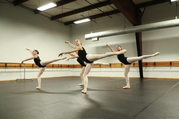 Young Dance Academy