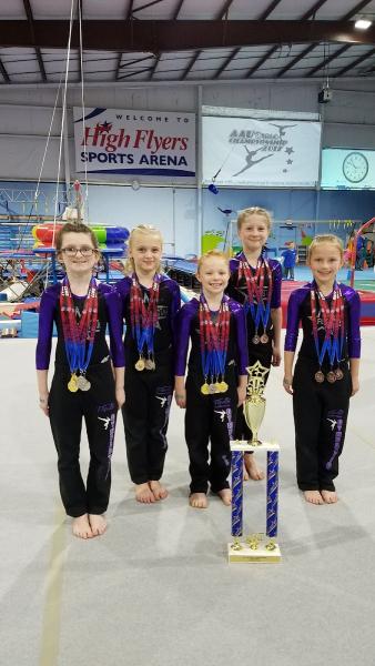 High Flyers Educational Gymnastics