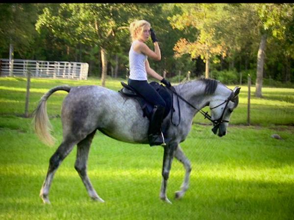 Jennifer's Mobile Horsemanship Training and Boarding