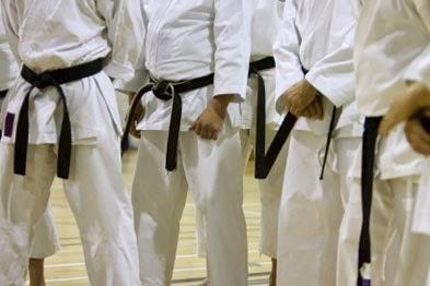 US Taekwondo Team