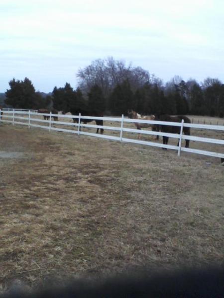 GLC Horse Haven Farm