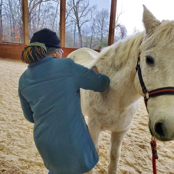 Free Rein Center For Therapeutic Riding and Education