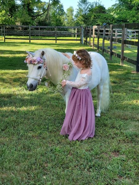 Magical Unicorn Pony Portraits