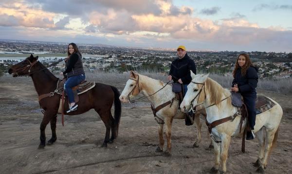 Palos Verdes Stable