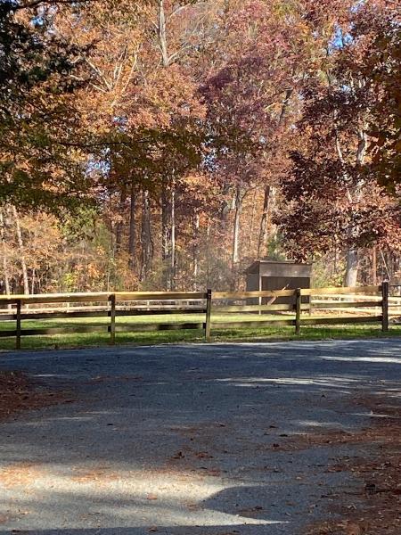 The Riding Academy