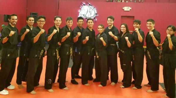 Team Tiger Martial Arts
