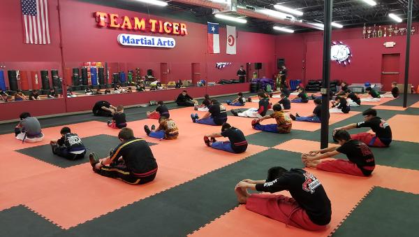 Team Tiger Martial Arts