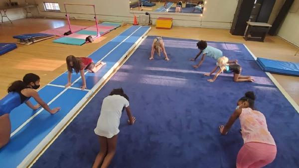 Flipz Gymnastics Academy