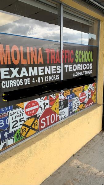 Molina Traffic School