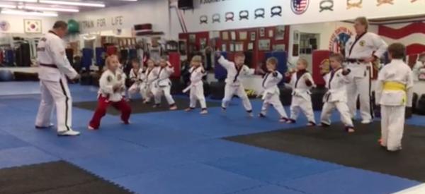 Fry's ATA Taekwondo USA Ctr