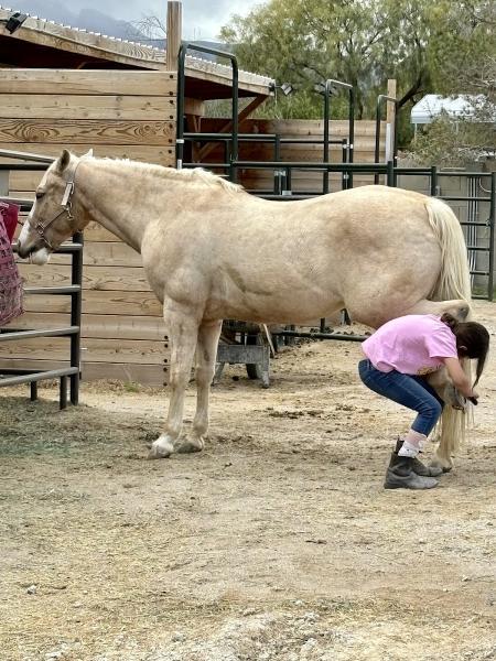 Justa Dream Ranch