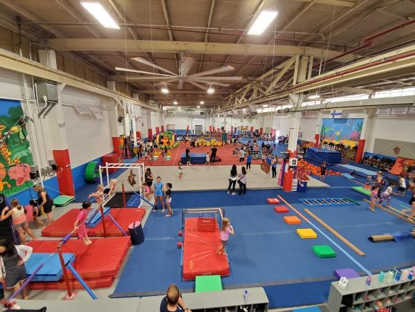 Mega Fun and Fitness