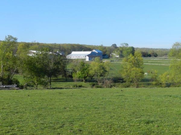 Toy Box Farm